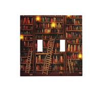 Vintage Printed Bookshelf Library Books Bookcase 2 Gang Wall Plate Covers Double Toggle Light Switch Cover Decorative Electrical Plastic Faceplate for Home Office Decor Accessories