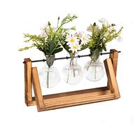 Vintage Propagation Station - Bulb Vases with Wooden Stand & Rotating Metal Rod - Desktop Hydroponic Plant Propagator for Cuttings & Home Decor