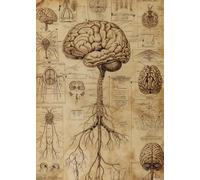 Vintage Puzzle 1000 Piece Guide to Understanding The Human Brain, Classic Teaching Wooden Puzzle Game, Unique and Beautiful Design, Puzzles Suitable for Entertaining with Family 20x28in