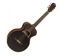 Vintage Raven by Paul Brett Electro Acoustic Satin Black