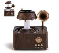 Vintage Record Diffuser 3 in 1 Retro White Noise Night Light, Essential Oil Diffuser, Sleep Sound Machine Humidifier with Colorful Light Remote Control Timer for Home Room (1pcs)