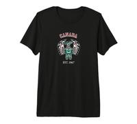 Vintage Red Black Haida Thunderbird Native Art Premium T-Shirt