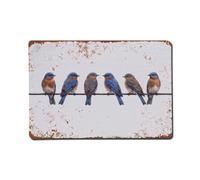 Vintage Retro Birds Eastern Bluebird Metal Tin Sign