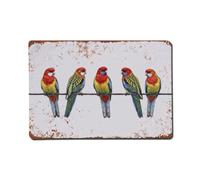 Vintage Retro Birds Eastern Rosella Metal Tin Sign