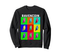 Vintage Retro Color Box Repeating Ravencoin Price Logo RVN Sweatshirt