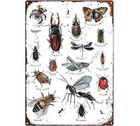 Vintage Rustic Metal Signs for Man Cave Types of Bugs Print Wild Beetles, Insects Watercolour Illustrated Cute Metal Sign Wall decour Tin Sign 8 * 12 Inch