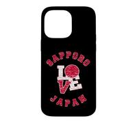 Vintage Sapporo Japan Love, Japanese Flag Case for iPhone 14 Pro Max