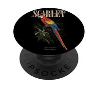 Vintage Scarlet Macaw Bird Watching Art Nature Love Birds PopSockets Adhesive PopGrip