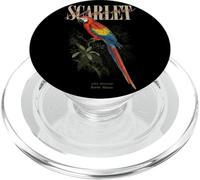 Vintage Scarlet Macaw Bird Watching Art Nature Love Birds PopSockets PopGrip for MagSafe