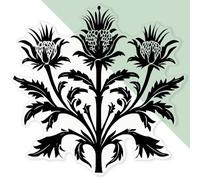 'Vintage Scottish Thistle ' Clear Sticker Decal - Waterproof Film for Windows, Cars, Walls & Crafts, XL (460mm) (DC00140487)