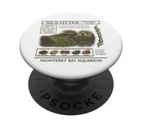 Vintage Sea Otter Monterey California 90's Aquarium Lover PopSockets Adhesive PopGrip