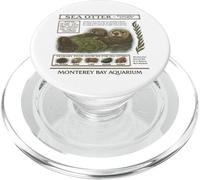 Vintage Sea Otter Monterey California 90's Aquarium Lover PopSockets PopGrip for MagSafe