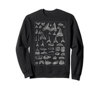 Vintage Shark Teeth Fossils Paleontology Jurassic Period Sweatshirt