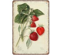 Vintage Strawberry Botanical Tin Signs 1912 Mary Daisy Arnold Kitchen Restarant Antique Theme Metal Sign Wall Art Pub Bar Garden Bathroom Home 8x12 inch