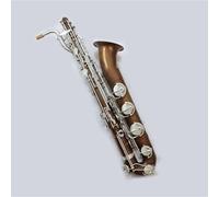 Vintage Style Alto Saxophone Brushed Silver Keys Exquisite Carving With Case Mouthpiece Strap Beginner Saxophone