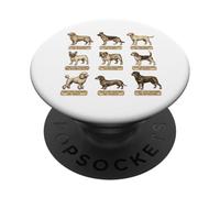 Vintage Style Dog Poster with Latin Dog Breed Names PopSockets Adhesive PopGrip
