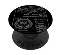 Vintage Style Great-White Shark Blueprint PopSockets Adhesive PopGrip
