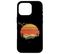 Vintage Sunset Mountains Birds Nature Scene Case for iPhone 16 Pro