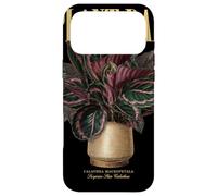 Vintage Surprise Star Calathea Plant Dad Nature Flora Garden Case for iPhone 17 Pro Max