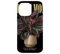 Vintage Surprise Star Calathea Plant Mom Nature Flora Garden Case for iPhone 14 Pro Max