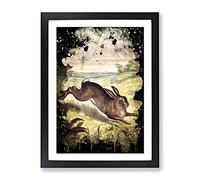 Vintage Tame Animals Hare Modern Cb Framed Print | A3 Black Framed Wall Art | Ready to Hang | Classic Animal Picture | Living Room Bedroom Lounge Office