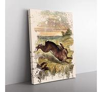 Vintage Tame Animals Hare Modern Fc Canvas Wall Art Print Ready to Hang, Framed Picture for Living Room Bedroom Home Office Décor, 60x40 cm (24x16 Inch)
