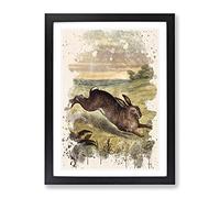 Vintage Tame Animals Hare Modern Fc Framed Print | A2 Black Framed Wall Art | Ready to Hang | Classic Animal Picture | Living Room Bedroom Lounge Office