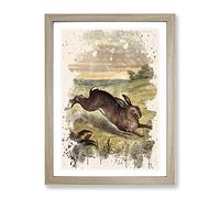 Vintage Tame Animals Hare Modern Fc Framed Print | A2 Oak Framed Wall Art | Ready to Hang | Classic Animal Picture | Living Room Bedroom Lounge Office