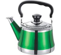 Vintage Tea Kettle, 304 Stainless Steel Stovetop Teapot with Ergonomic Bakelite Handle - Large Capacity for All Stove Types(9,2L)