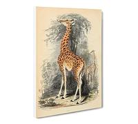 Vintage The Animal Kingdom Giraffe Vintage Canvas Wall Art Print Ready to Hang, Framed Picture for Living Room Bedroom Home Office Décor, 24x16 Inch (60x40 cm)