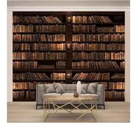 Vintage Three Dimensional Bookshelf Books Art 3D Wallpaper Textured Silk Easy Install Living Room Sofa Bedroom Dining Room Home Decoration Wall-300cm×210cm