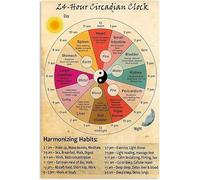 Vintage Tin Sign 24 Hour Circadian Clock Organ Clock Unframed Knowledge Wall Art Chinese Medicine Healthy Art 12x16 Inch Cafe School Decoration