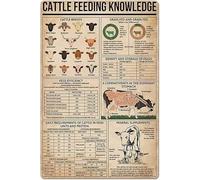 Vintage Tin Sign Cattle Feeding Knowledge Illustrated Breed Cattle Cow Tin Sign Poster Plaque Farm Home Pet Shop Wall Decro 8x6inch