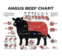 Vintage Tin Sign Metal Plaque Beginner'S Guide To Beef Cuts, Angus Beef Butcher Chart Vintage Wall Decor Tin Sign Funny Decorations For Home Bar Pub Cafe Farm Room Metal Poster 20x30cm