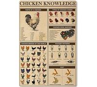 Vintage Tin Sign Metal Plaque Chicken Knowledge Vintage Wall Decor Tin Sign Funny Decorations For Home Bar Pub Cafe Farm Room Metal Poster 20x30cm