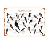 Vintage Tin Sign Woodpeckers Of North America Field Guide Art Print Nature Print Bird Poster Canvas Wall Art Print Wooden Hanging Scroll Frame Wall Decor Decorations Art Poster Gift Metal Sign8x12Inch