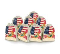 Vintage U.S.A And Florida State Flag Reusable Drawstring Bags 8 Pcs Jewellery Favour Pouch Christmas Halloween Candy
