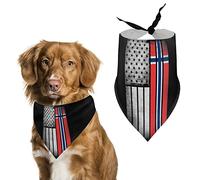 Vintage USA Norway Flag Dog Bandanas Triangle Dog Bibs Cute Pet Scarf Kerchief for Small Medium Large Pet
