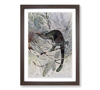 Vintage W Kuhnert African Chameleon Framed Print | A2 Walnut Framed Wall Art | Ready to Hang | Classic Nature Picture | Living Room Bedroom Lounge Office