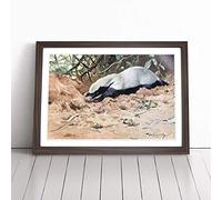 Vintage W Kuhnert African Honey Badger Framed Wall Art Print Walnut A2