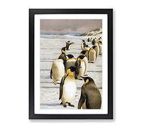 Vintage W Kuhnert Emperor Penguins 1 Vintage Framed Wall Art Print, Ready to Hang Picture for Living Room Bedroom Home Office Décor, Black A4 (34 x 25 cm)