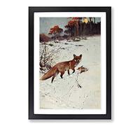 Vintage W Kuhnert Fox Framed Print | A2 Black Framed Wall Art | Ready to Hang | Classic Animal Picture | Living Room Bedroom Lounge Office