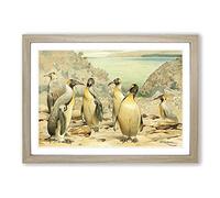Vintage W Kuhnert Giant Penguins Framed Print | A2 Oak Framed Wall Art | Ready to Hang | Classic Nature Picture | Living Room Bedroom Lounge Office
