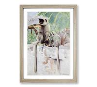 Vintage W Kuhnert Hanuman Monkey Framed Print | A2 Oak Framed Wall Art | Ready to Hang | Classic Animal Picture | Living Room Bedroom Lounge Office