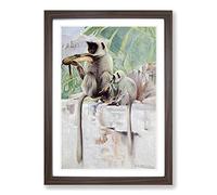 Vintage W Kuhnert Hanuman Monkey Framed Print | A2 Walnut Framed Wall Art | Ready to Hang | Classic Animal Picture | Living Room Bedroom Lounge Office