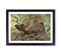 Vintage W Kuhnert Jaguar Framed Print | A2 Black Framed Wall Art | Ready to Hang | Classic Animal Picture | Living Room Bedroom Lounge Office