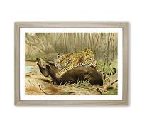 Vintage W Kuhnert Leopard Killing Tapir Framed Print | A2 Oak Framed Wall Art | Ready to Hang | Classic Animal Picture | Living Room Bedroom Lounge Office