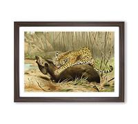 Vintage W Kuhnert Leopard Killing Tapir Framed Print | A2 Walnut Framed Wall Art | Ready to Hang | Classic Animal Picture | Living Room Bedroom Lounge Office
