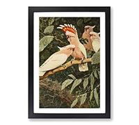 Vintage W Kuhnert Major Mitchell's Cockatoo Framed Print | A2 Black Framed Wall Art | Ready to Hang | Classic Nature Picture | Living Room Bedroom Lounge Office