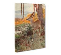 Vintage W Kuhnert Roe Deer Vintage Canvas Wall Art Print Ready to Hang, Framed Picture for Living Room Bedroom Home Office Décor, 20x14 Inch (50x35 cm)